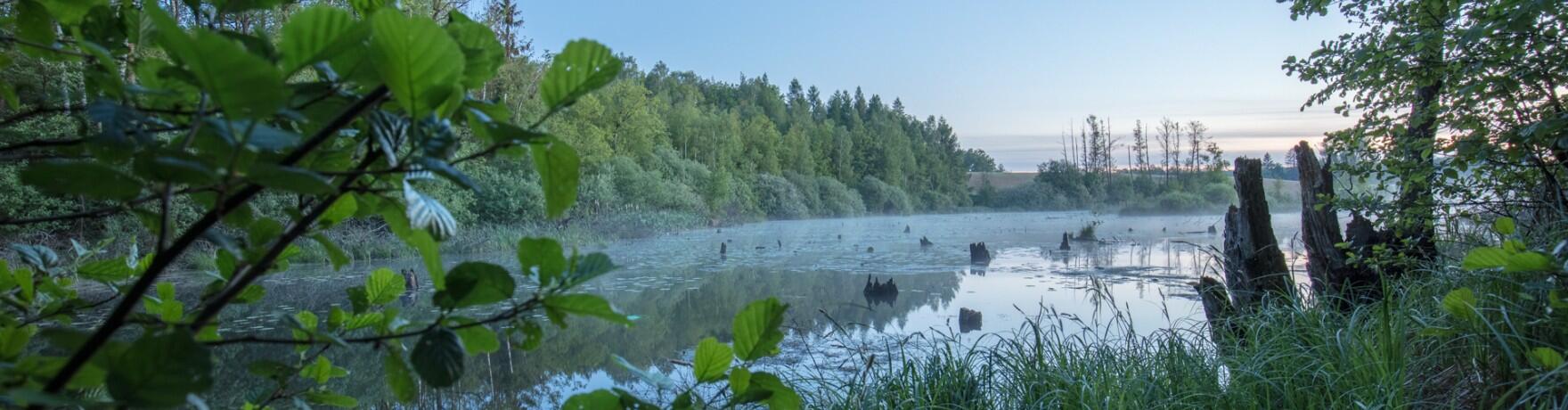 Rezerwat przyrody Dury – unikalne torfowiska i perła polskiej przyrody