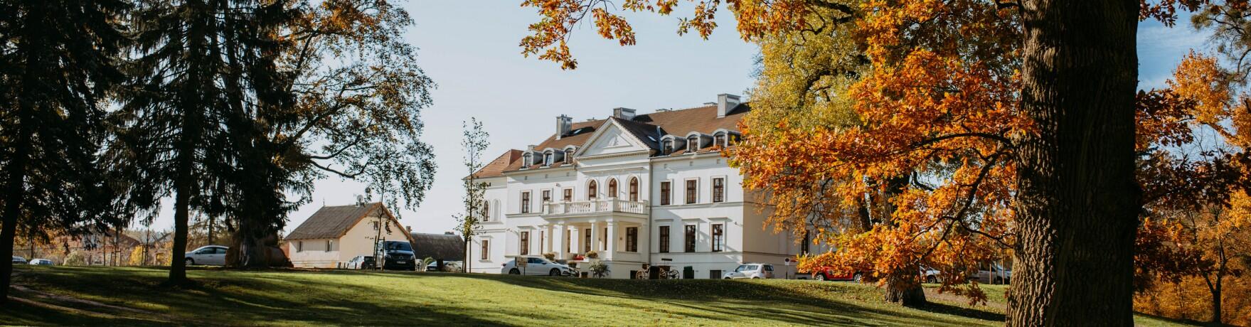 Kameralny hotel z basenem – oaza spokoju i luksusu ukryta w ciszy