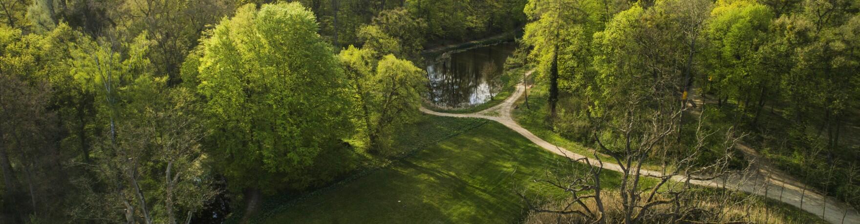 Pociągiem przez lasy - Bory Tucholskie z innej perspektywy