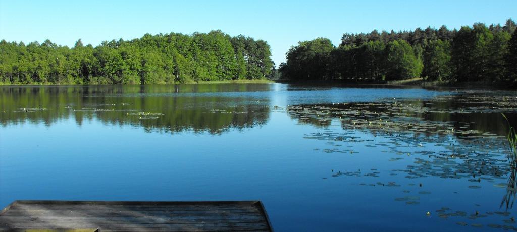Jezioro Stelchno – czysta woda, plaża i spokojny wypoczynek koło Jeżewa